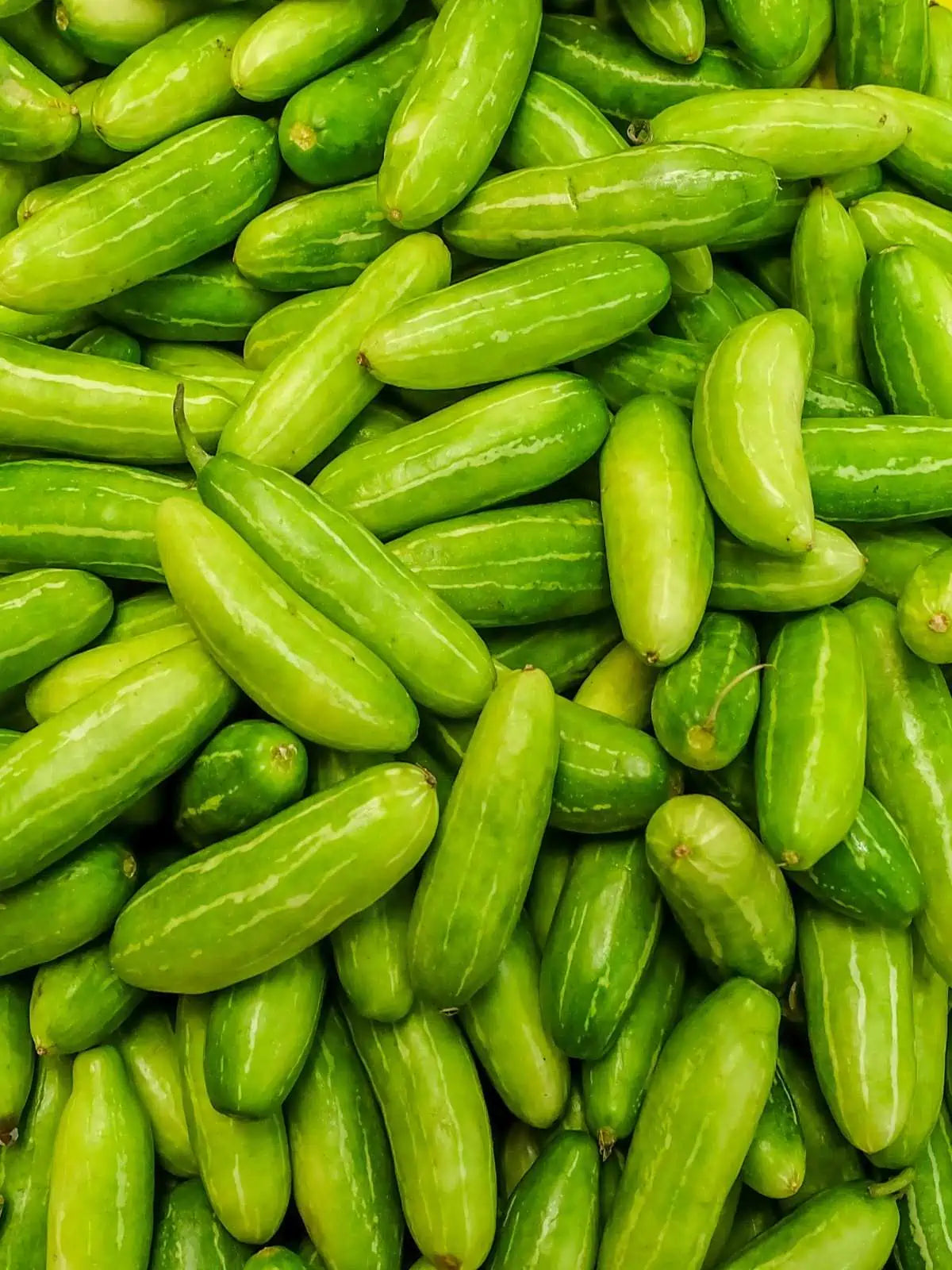Climbing Ivy Gourd Extract (Coccinia indica) | 12:1 | Sugar Metabolism Support
