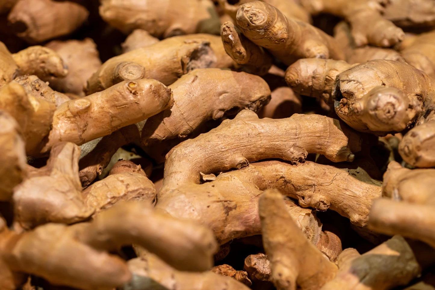 Ginger Extract (Zingiber officinale) | 8% Gingerols | Digestive Support