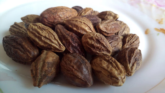 Haritaki Extract (Terminalia chebula) | <45% Tannins | Digestive Support