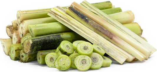 Banana Stem Extract (Musa paradisiaca) | 50:1 | Kidney Support