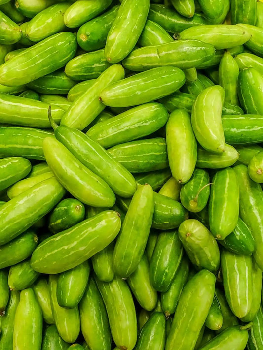 Climbing Ivy Gourd Extract (Coccinia indica) | 12:1 | Sugar Metabolism Support