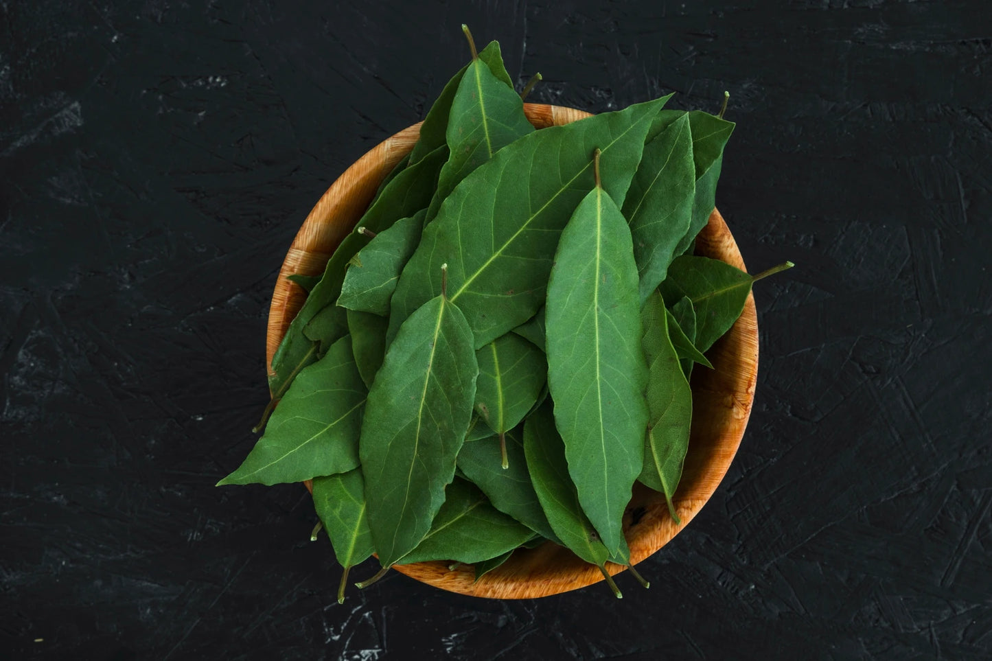 Gymnema Extract (Gymnema sylvestre) | 75% Gymnemic Acids | Sugar Support