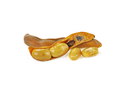 Mucuna pruriens Extract (Kapikacchu) | L-DOPA 15% | Nervous System Support