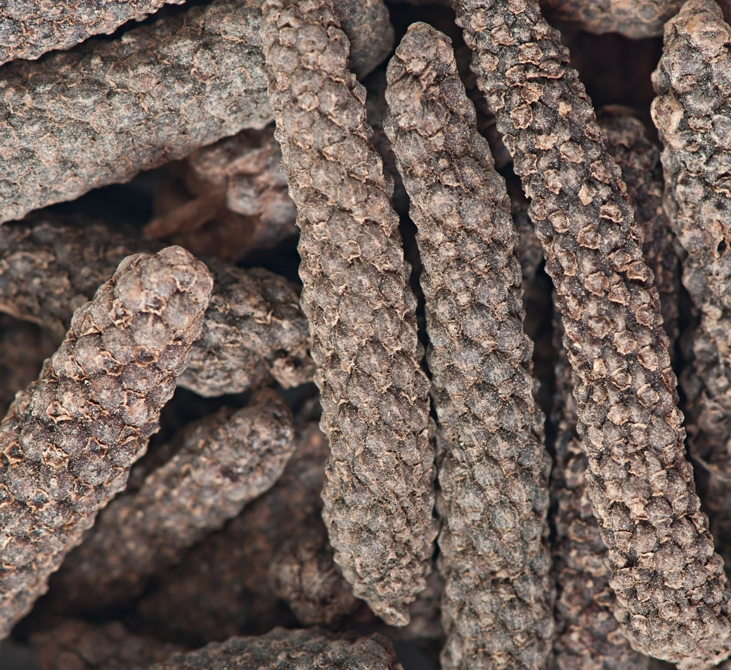 Pippali Extract (Piper longum) | 20% Piperine | Digestive Support
