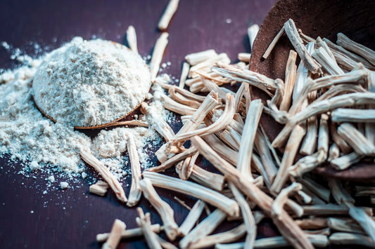 Shatavari Extract (Asparagus racemosa) | 8:1 | Women’s Health Support